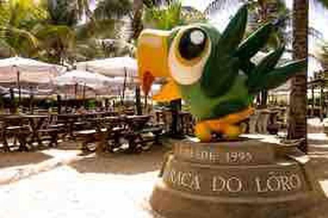 סלבאדור Pe Na Areia Vista Total Mar - O Paraiso E Aqui! מראה חיצוני תמונה