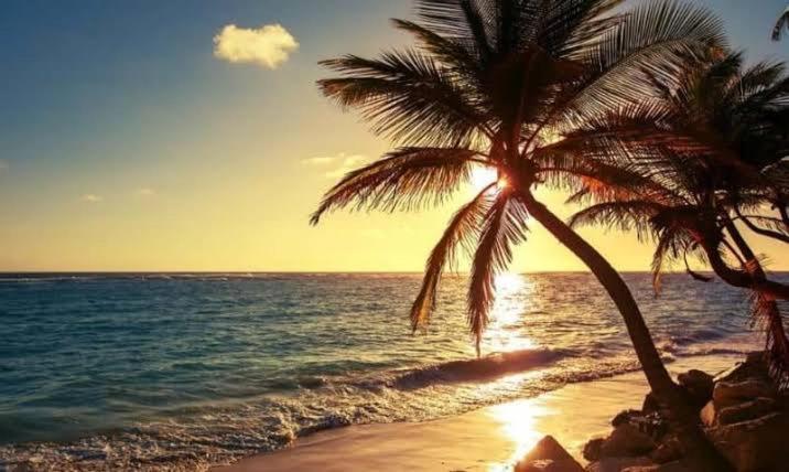 סלבאדור Pe Na Areia Vista Total Mar - O Paraiso E Aqui! מראה חיצוני תמונה